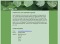 latinonetworks.com