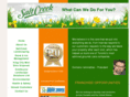 saltcreekgroup.com