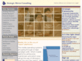 strategicmirror.com