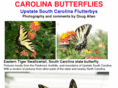 carolinabutterflies.com