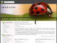 insectys.com