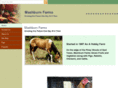 mashburnfarms.com