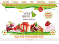 wildgoosenaturals.com