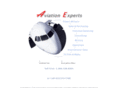 aviationexperts.com
