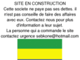 cidtgabon.com