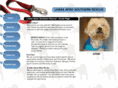 lhasaapsosouthernrescue.org