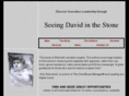 seeingdavidinthestone.com