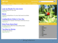 ag9.com