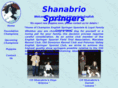 shanabriospringers.com