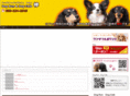dog-lemon.com