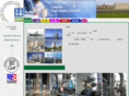 sinervalve.net