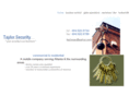 taylorsecurity.net