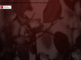 thepomegranatesalon.com