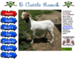 5cattle.com