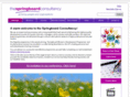 springboardconsultancy.com