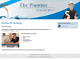 theplumberwichita.com