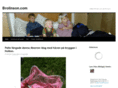 brolinson.com