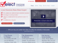 electenergy.com