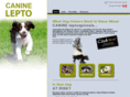 leptoinfo.com