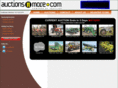 auctionsfastline.com