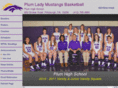 plumgirlsbasketball.com
