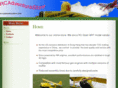 rcadventurestore.com