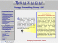 syzygyconsulting.com