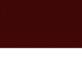 tanuki.com.mx