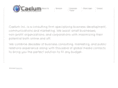 caeluminc.com