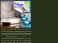 intuitivetouchbodywork.com