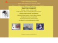 triadlogistics.com