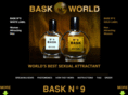 baskworld.com