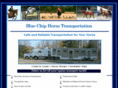 bluechiphorsetrans.com