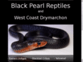 blackpearlreptiles.com