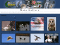 blueheronpics.com