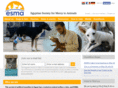 esmaegypt.org
