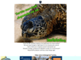 savetheturtle.com