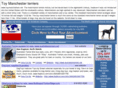 toymanchesters.net