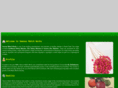 veenusmatchworks.com