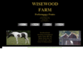 wisewoodponies.com