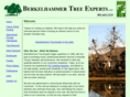berkelhammer.com