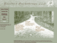 burelbachpsychotherapy.com