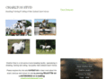 charltonsporthorses.com