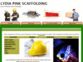 lydiapinkscaffolding.me.uk