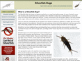 silverfishbugs.net