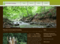 forestinspiredfurnishings.com