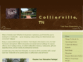 lifeincollierville.com