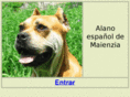maienzia.net