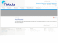 nebulaglobal.com