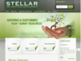 stellarorgdevelopment.com